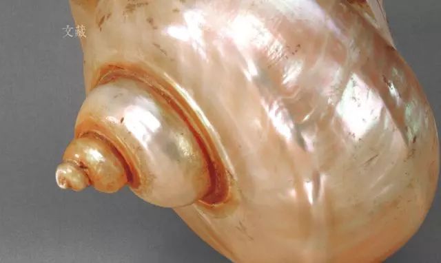 吴晓波年终秀上出现的胸针,据说能让你好运连