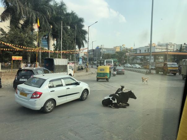 印度赶中国,长远可期,短期无望