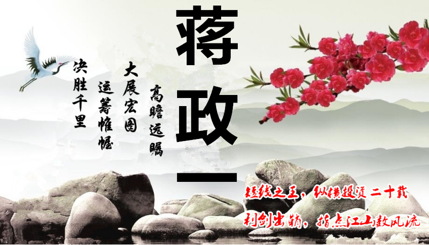 蒋政一个人简历
