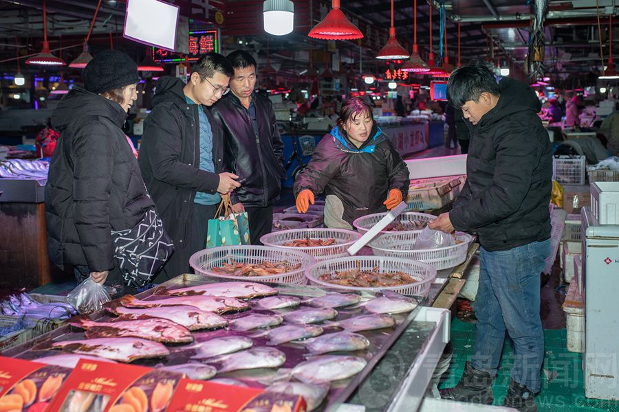 【小庞逛青岛】精品海鲜大卖 过个美味飘香的年