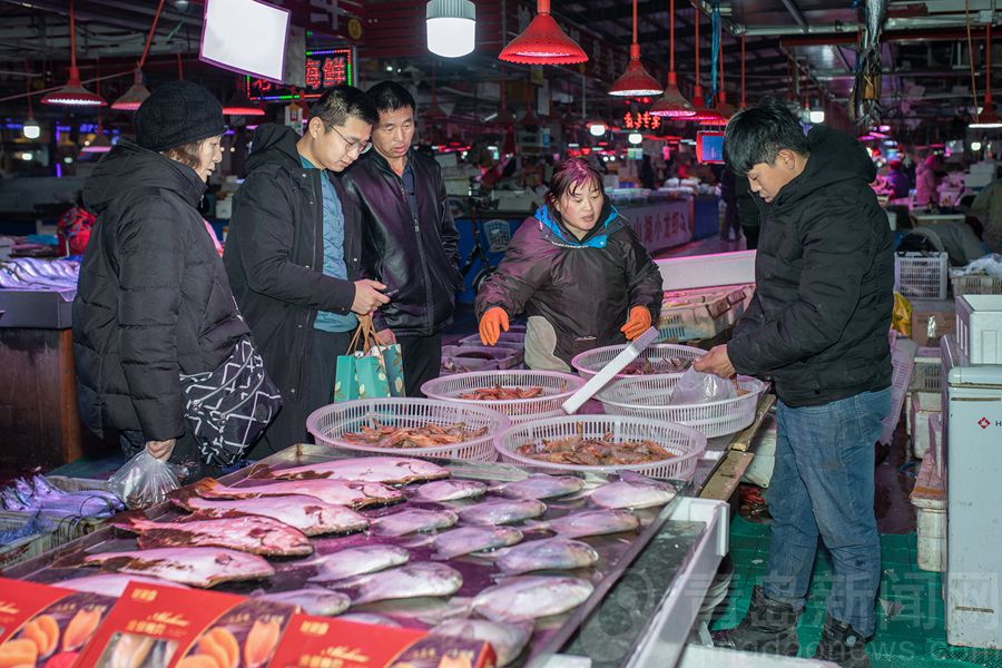 【小庞逛青岛】精品海鲜大卖 过个美味飘香的年