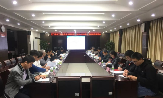 2025年)专家咨询论证会在市应急管理局举行