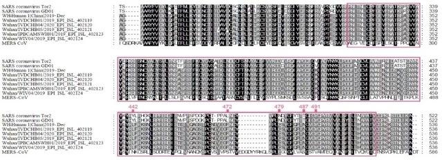 相似度96% 武汉病毒所报道新型冠状病毒或来源于蝙蝠