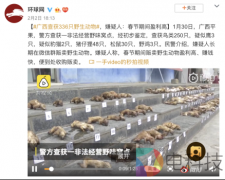 还有人顶风吃野味？杜绝野味百度输入法从细节处着手