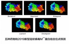 抗疫进展：华为云联合多家科研机构筛选出五种可能有效的抗病毒药物