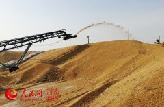 在疫情防控阻击战中发挥人才优势体现党员担当