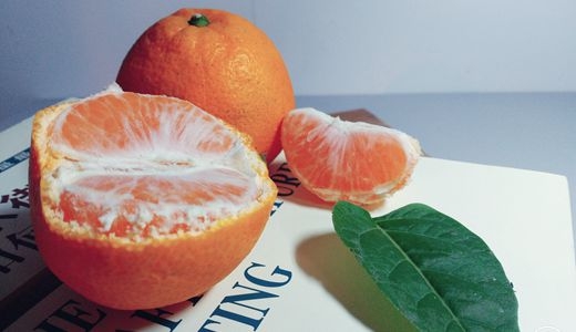 市场风险抵抗力低 柑橘产业需走深加工发展之路