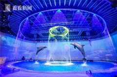 全国医护人员免票！上海海昌海洋公园调整门票政策