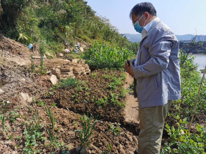 疫情肆虐之际，他们走向麦田