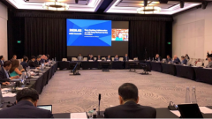 敦煌网王树彤：中国第三方金融科技服务发展推动金融生态创新