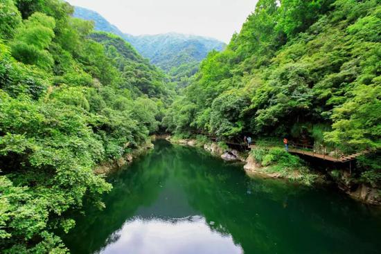 醉山野-黄崖大峡谷景区对全国医务工作者及其配偶、子女实施免票政策的公告
