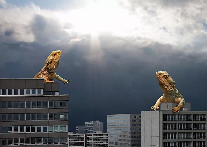 疫情之下的楼市自救