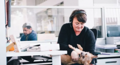 今日话题：如何优雅高效地在家办公？