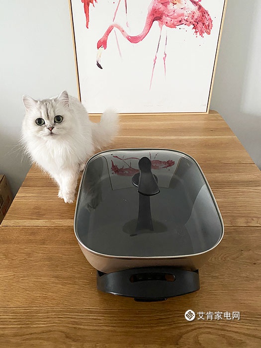 禁足期,网易严选电锅解放味蕾