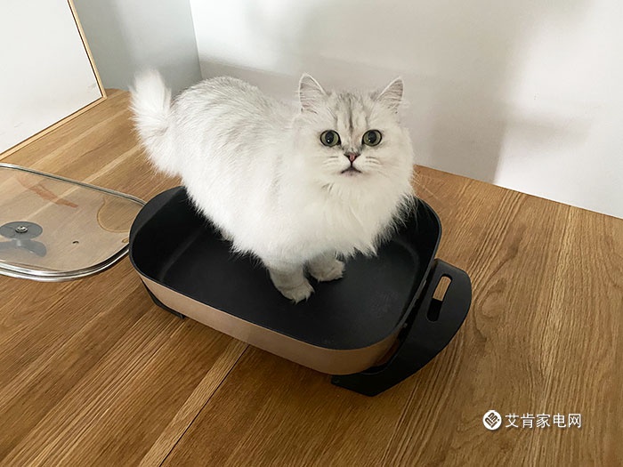 禁足期,网易严选电锅解放味蕾