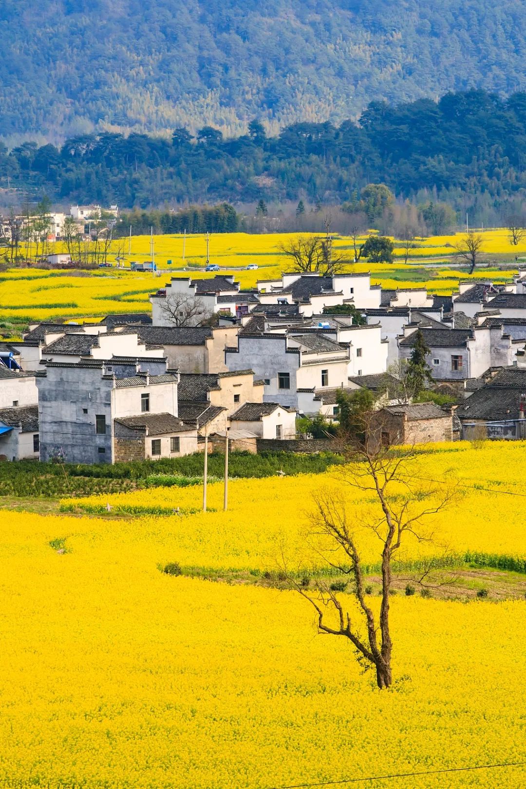 深藏功与名的安徽：2019年的最大黑马