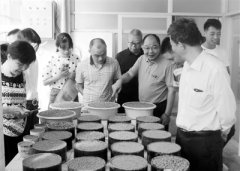 这里春耕种萍忙