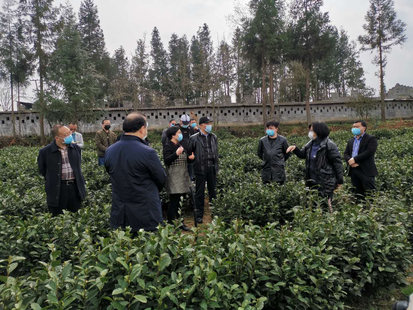 傅传耀带队赴水城县调研茶产业疫情防控和企业