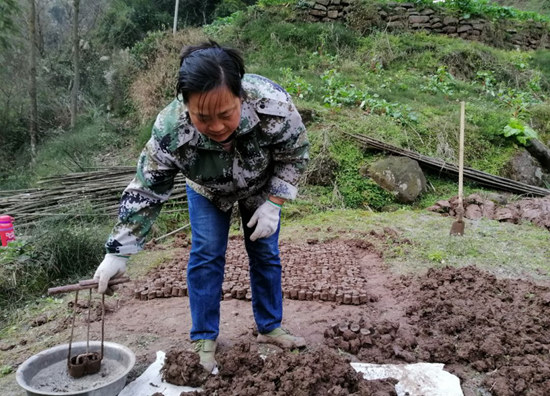 复工复产丨雨城区统筹“145”工作思路 坚持疫情防控和农业农村经济发展两手抓