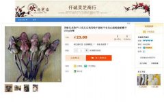 禁而不止，仍有电商平台和企业网站公开“售野