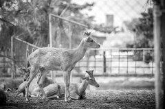 亿元,主管部门,我国,但对,保护法