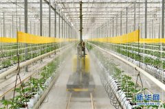 山西：科技升级促生产