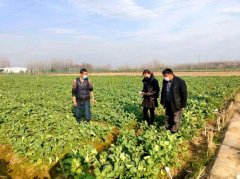 全椒：人才聚合力 春耕不误时