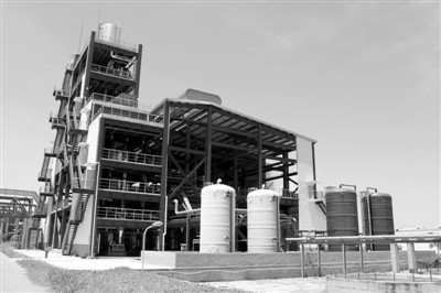 办展会、建平台、出新政 广西科技成果加速“转”起来