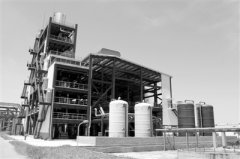 办展会、建平台、出新政 广西科技成果加速“转”起来