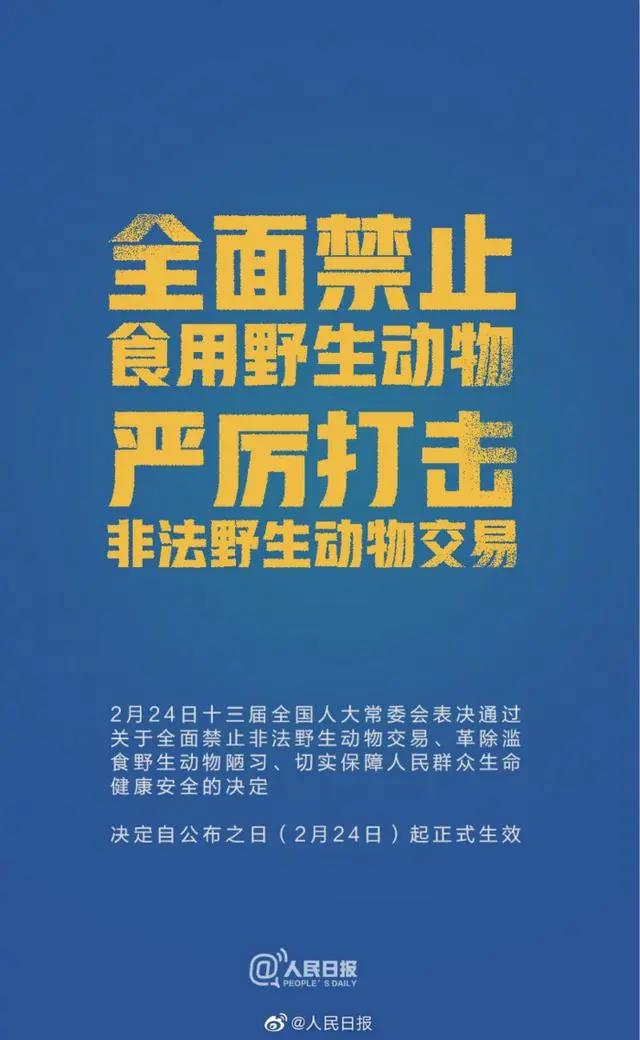 世界野生动植物日|维护地球所有生命就是维护人类自己！