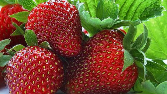 草莓，草莓，浆果，美味