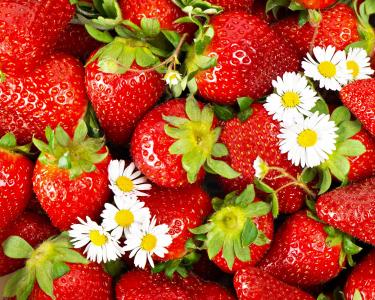 草莓，夏天，罗马，美味