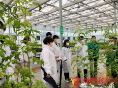 中信银行：“有温度的”综合金融服务 助力农资