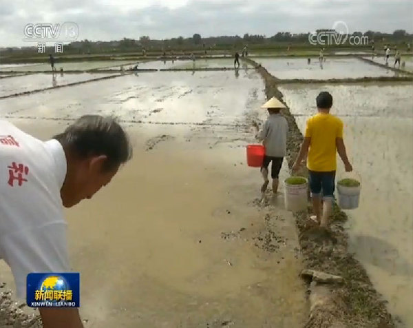 科技春耕 服务更精准
