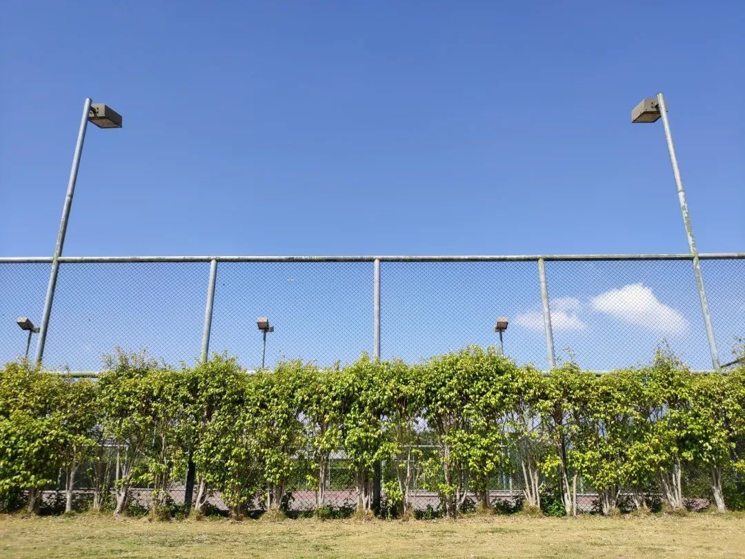 「二手值得买」小米 MIX 3：2020 年你仍需要一台滑盖手机