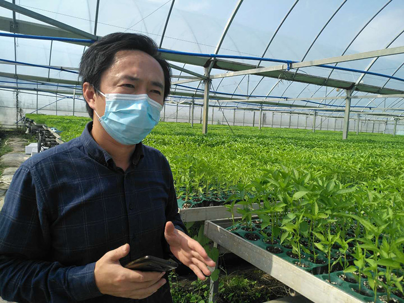 “南苗北种”抢农时，共克时艰促春耕