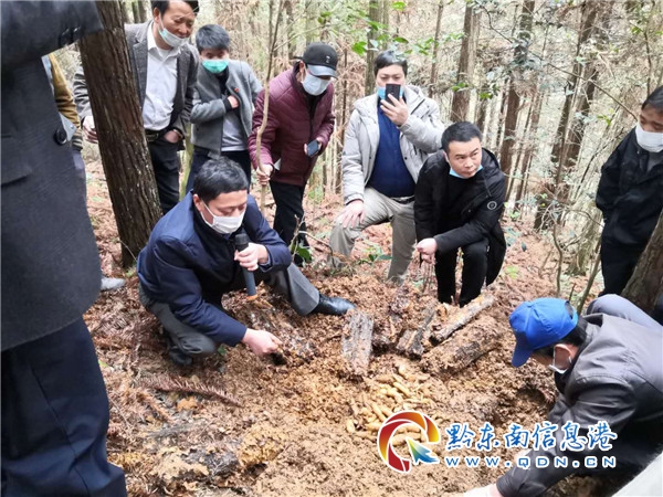 黎平县平寨乡：多举措多路径加快产业发展