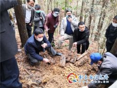 黎平县平寨乡：多举措多路径加快产业发展