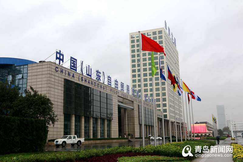 极速审批 容缺受理…1465家企业落户自贸青岛片区