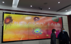 千湖之省开启“云上卖鱼”模式，打通疫情之下