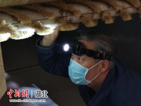 走进春天里——直击湖北卷烟工业复工复产第一天