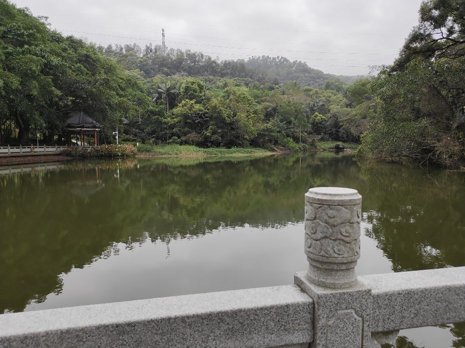 腾讯黑鲨游戏手机 3 相机简评：2.56 亿像素是否噱头