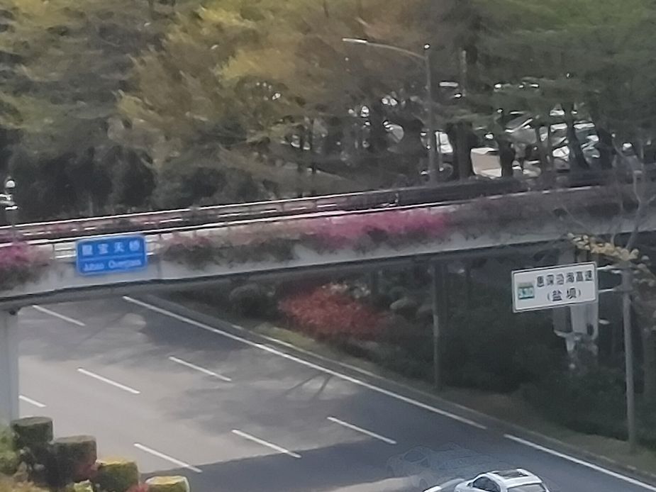 腾讯黑鲨游戏手机 3 相机简评：2.56 亿像素是否噱头