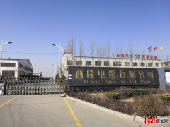 【战疫情 促振兴 河北省县域特色产业在行动】力保电力通信配套供应 河北宁晋