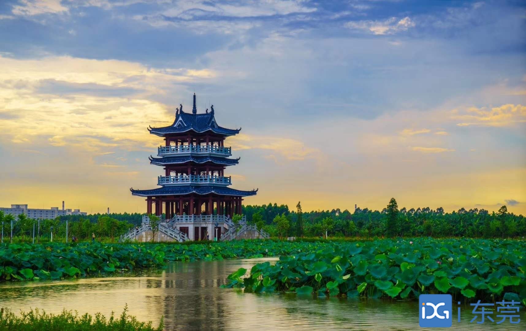 市政府“一号文”解读 ⑧ |市水务局:今年至少让150条河涌重现“水清岸美”