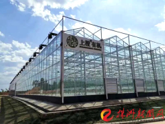 首批5万斤蔬菜投向市场 天元区智能鱼菜共生基地
