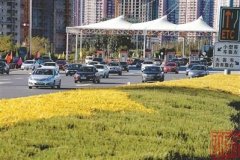 沈阳旅游业何时复苏，从哪个领域开始？业内专家这样说……