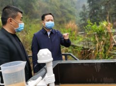 犹 王莹：狠抓专项审计调查问题落实整改 坚决打