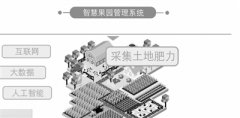 AI接管果园，他们成了“甩手掌柜”
