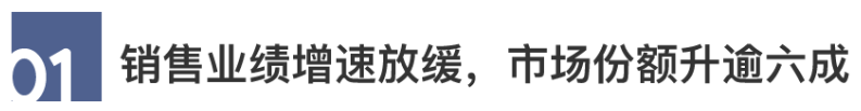 2020中国房地产百强企业研究报告
